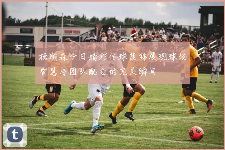杨瀚森今日精彩传球集锦展现球场智慧与团队配合的完美瞬间