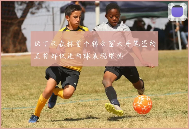 诺丁汉森林首个转会窗大手笔签约五将却仅进两球表现堪忧